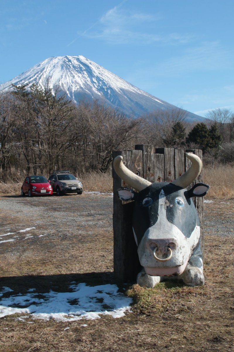 hs5112's tweet photo. 旧年中は大変お世話になりました🐮🐯
#MyFirstFIAT
#相棒フィアット
#FIAT500
#FIAT500x https://t.co/5geezet74X