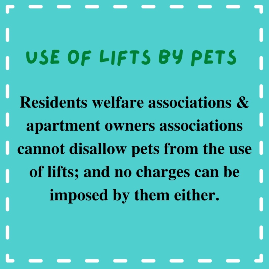 pfaindia's tweet photo. PART-2 : AWBI Guidelines for  Residents’ Welfare Association, Apartment Owners’ Associations, etc. WITH RESPECT TO PET DOGS &amp; PET-OWNING RESIDENTS. 

Note- For any complaints email us at gandhim@nic.in 

#Awbiguidelines #petdogs #pfaofficial #love #campassion #dogs  #doglover https://t.co/2Y4auOsHBf