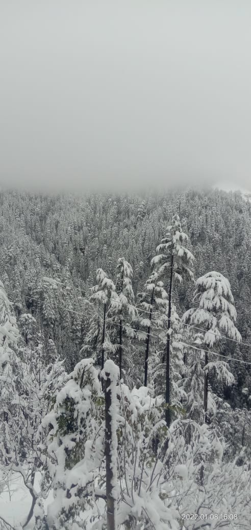 ModgilSuman's tweet image. 🌨️In love with this 💕