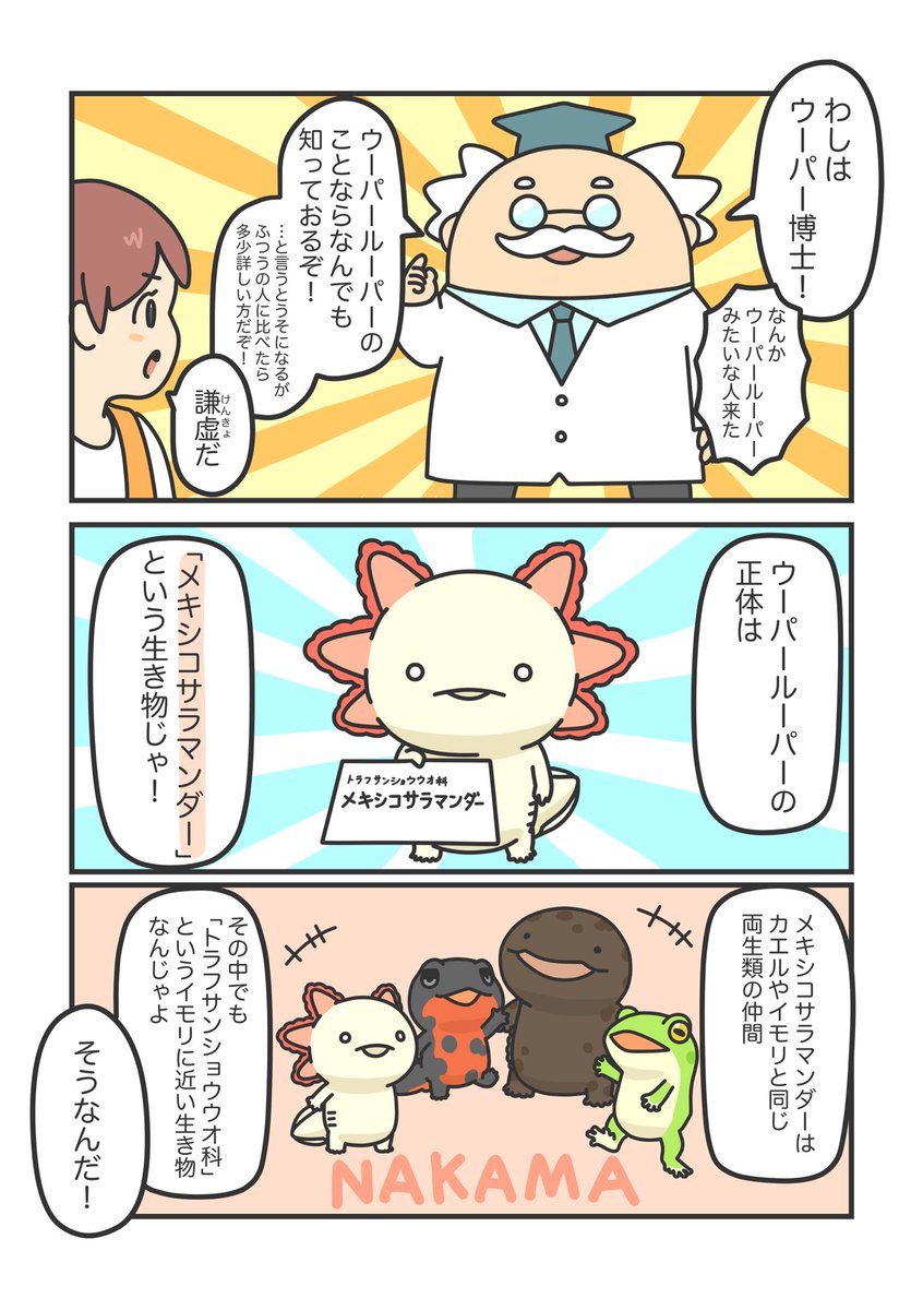 ウーパールーパーに少しだけ詳しくなれる漫画を描きました。
(1/2) 