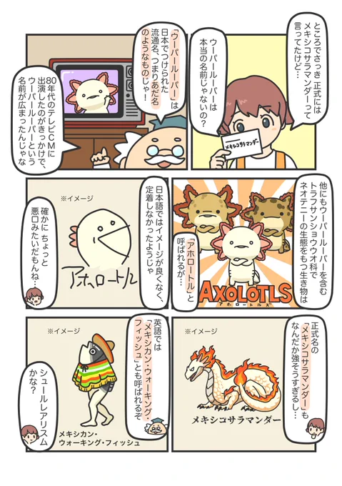 (2/2) 