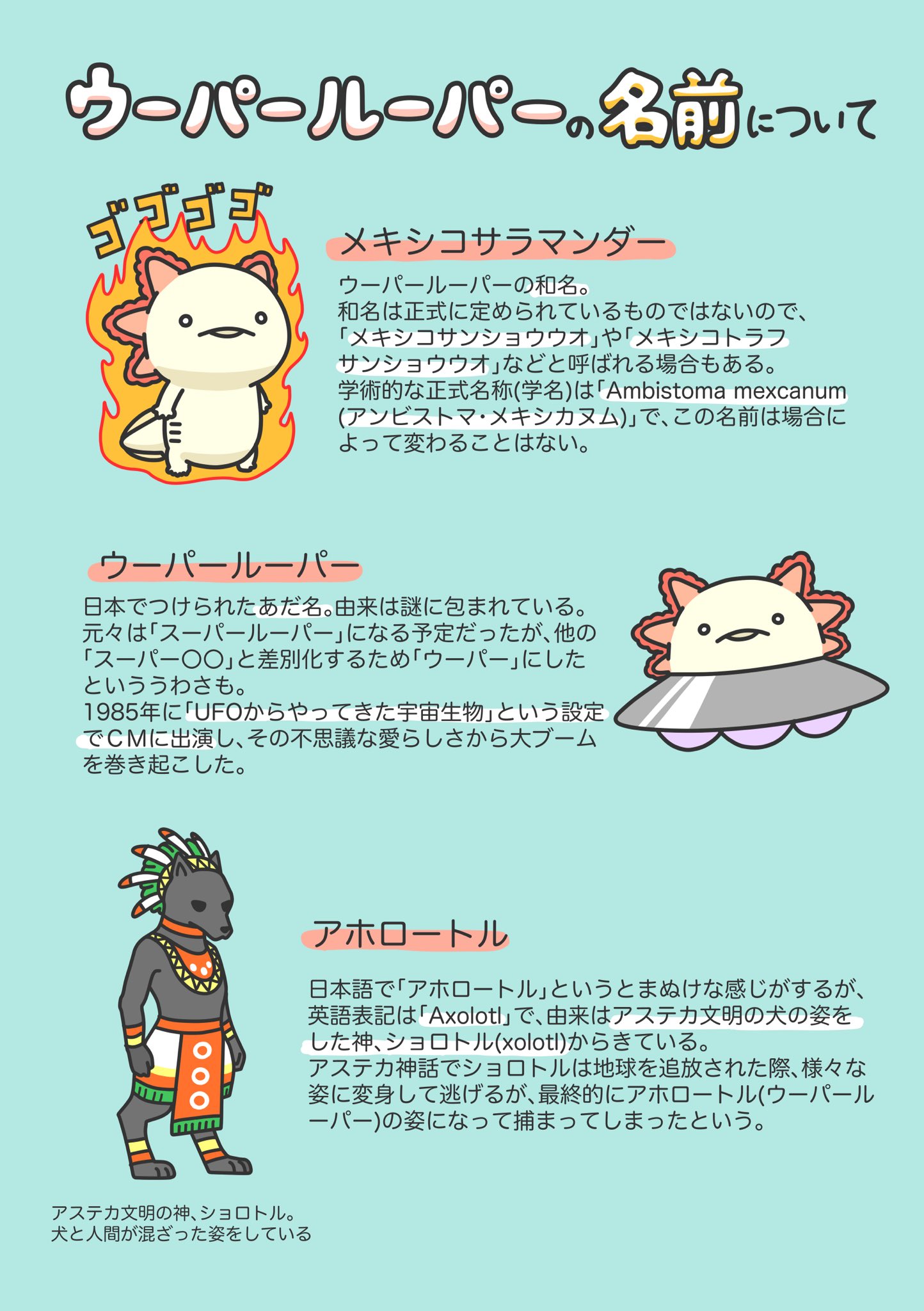 人生はウーパールーパー ウーパールーパーに少しだけ詳しくなれる漫画を描きました 1 2 T Co Fbmtfyb5zv Twitter