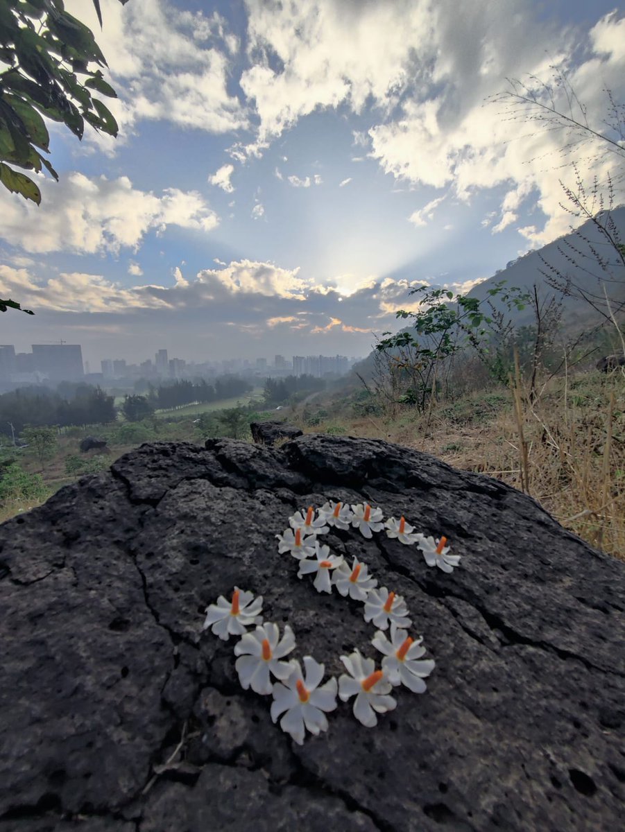 Sandhya Garware-khandare tweet media