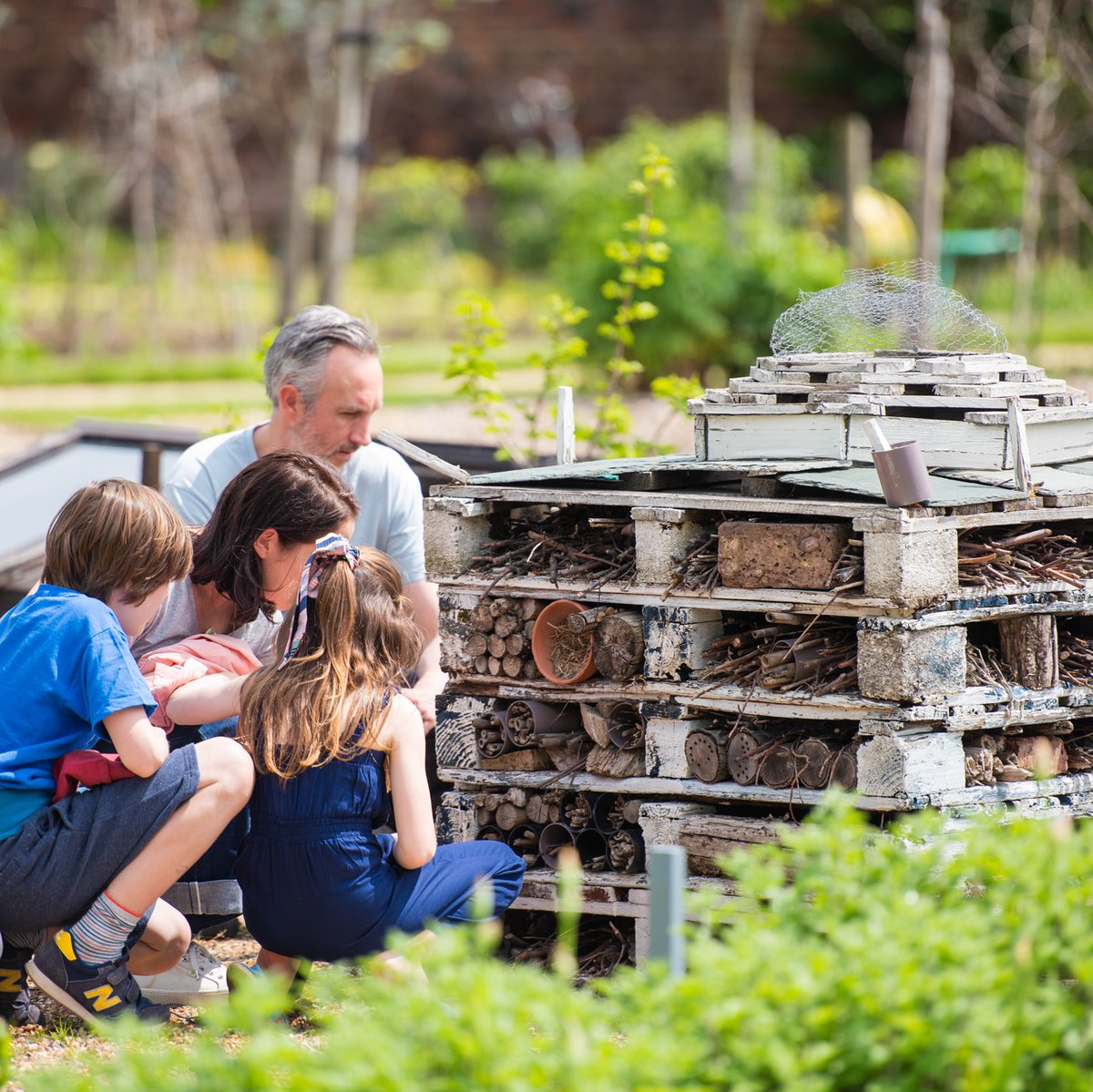 Do your bit for bugs and bees! 🐛🐜🐝🐞🕷️🦋
Building a bug hotel (like ours in the Kitchen Garden) is a great weekend activity for the whole family. It provides a safe habitat for insects and repurposes garden waste. #bughotel #gardenproject #naturecrafts