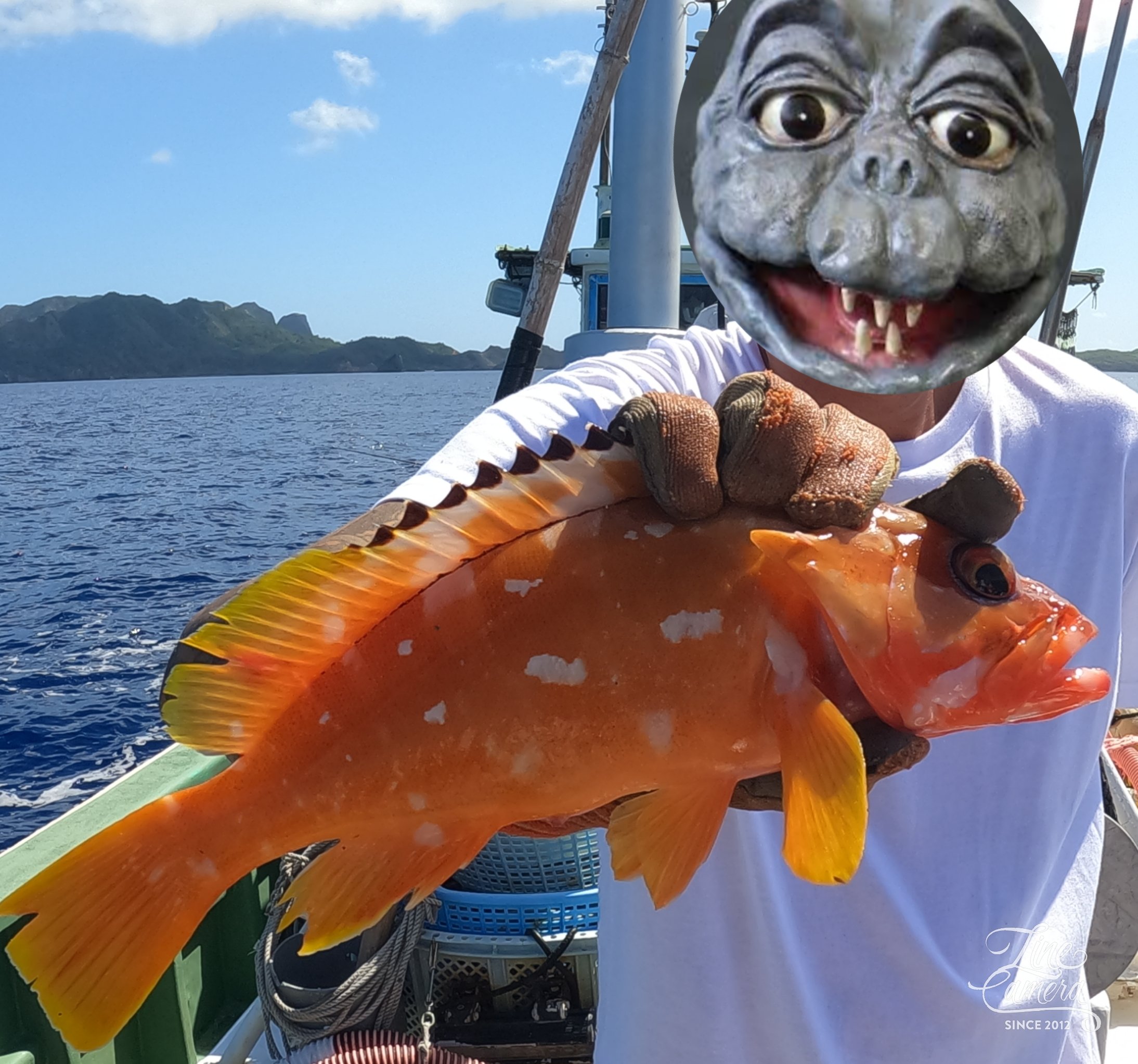 アカバ Twitter Search Twitter