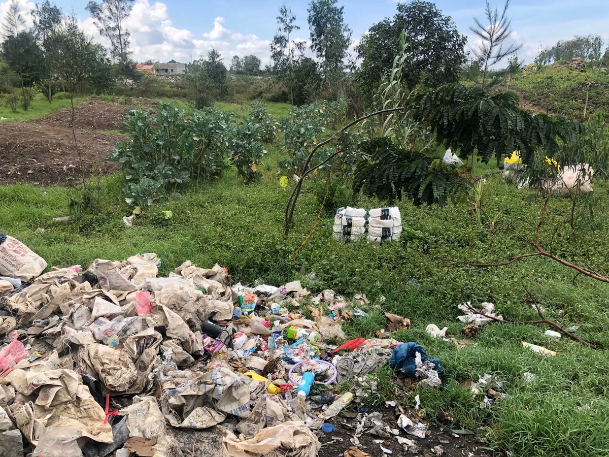 ElizabethWChege's tweet photo. My Saturday morning at local dumpsite. 10year old diaper; trees growing from dumped seeds; paving blocks &amp; tiles 90% recycled materials; basic tools. #designfortheplanet #innovation #circulareconomy #startatzero #outofsightoutofmind @wastefreeplanet @zerowastepath @web_limited https://t.co/I6Mip2Ieu1