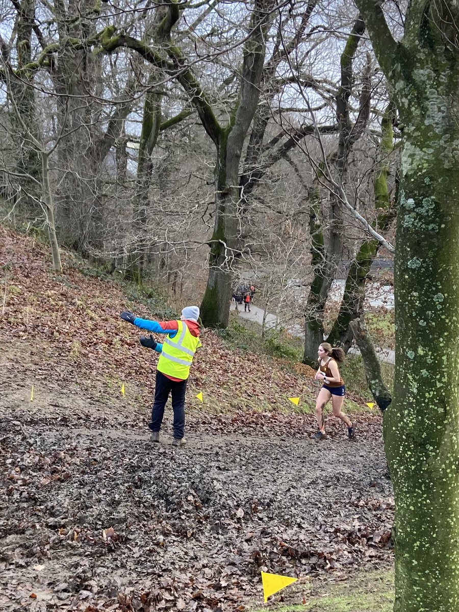 Tania Berry tweet media