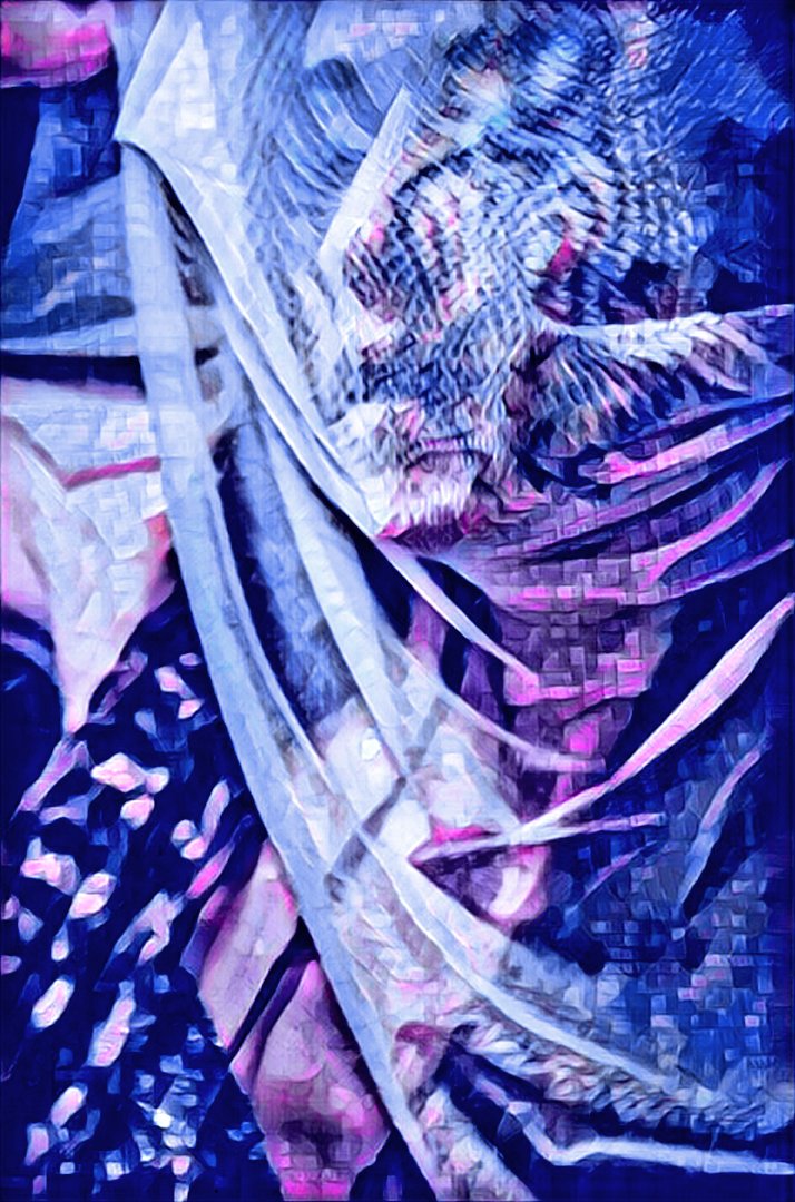 Sol y Luna tweet media