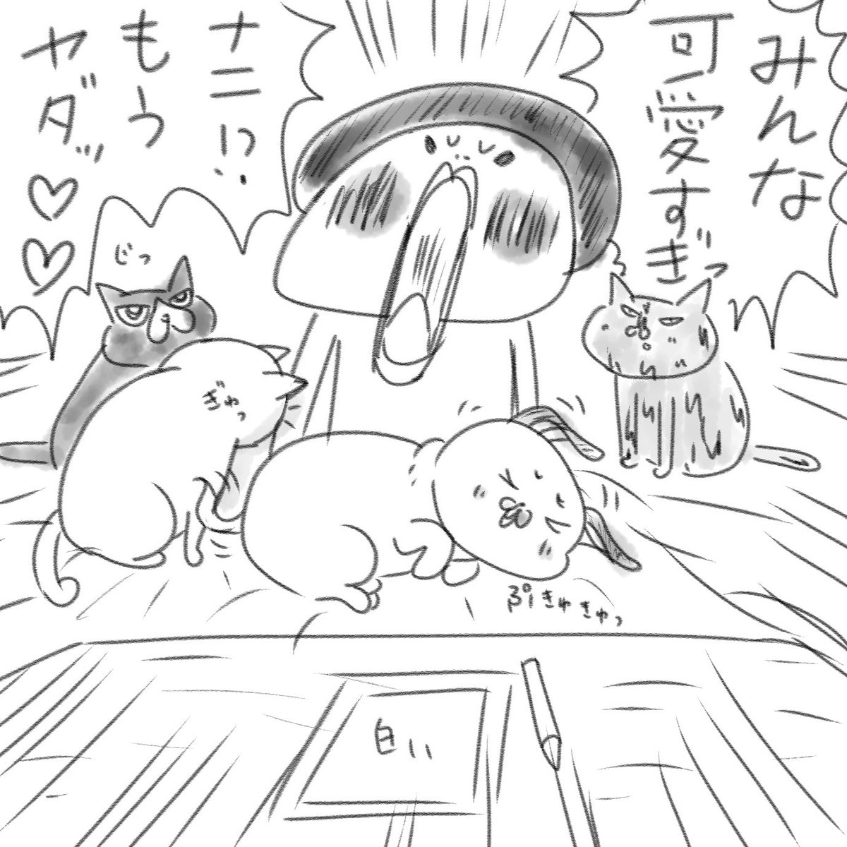 時々可愛すぎてキュンギレする飼い主です。(なにせ9ぴき全部可愛いから) 