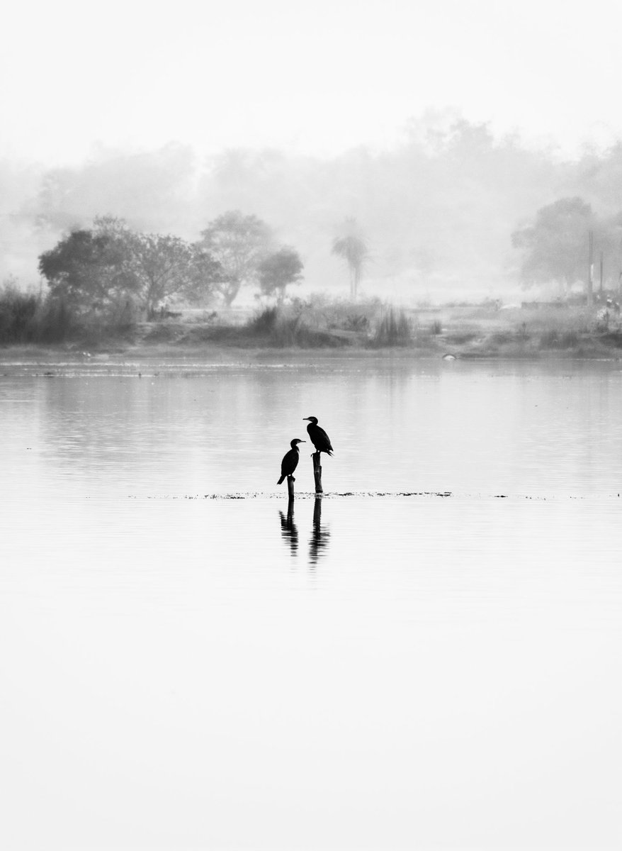 One of the best, if not THE best picture I have taken in my short while as a photographer. The almost sketch background with the reflections, I just love it.
Someday this will fetch me some crypto.
Untill then, enjoy!!

"An Impression of Life"