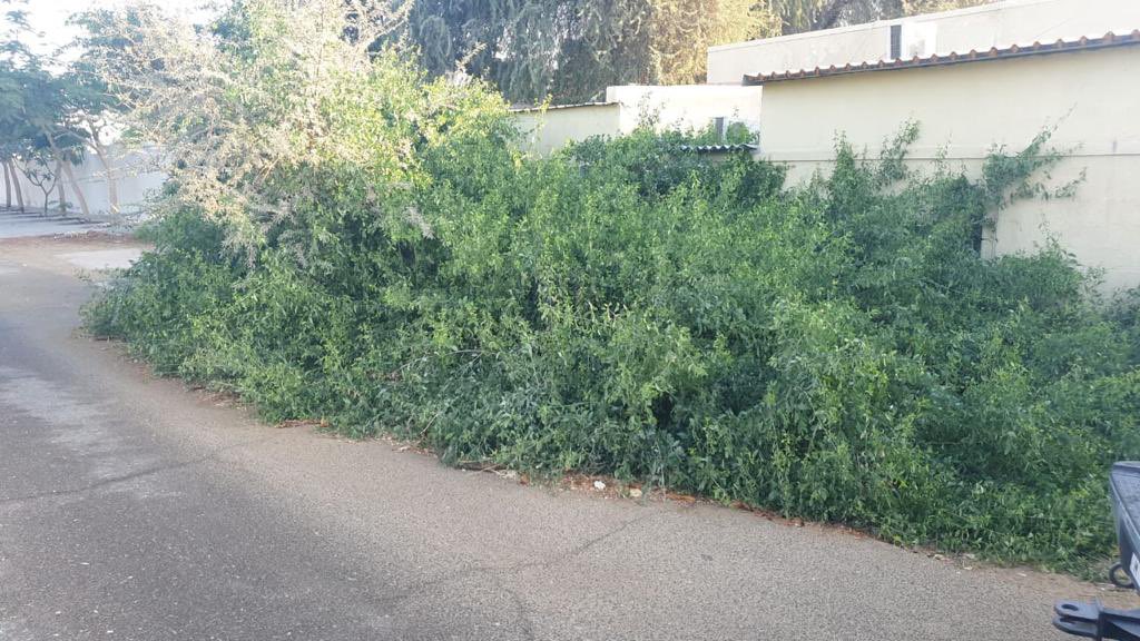 slootah's tweet photo. @DMunicipality التتمه لتغريدتي السابقه https://t.co/9nBDp4jQlX