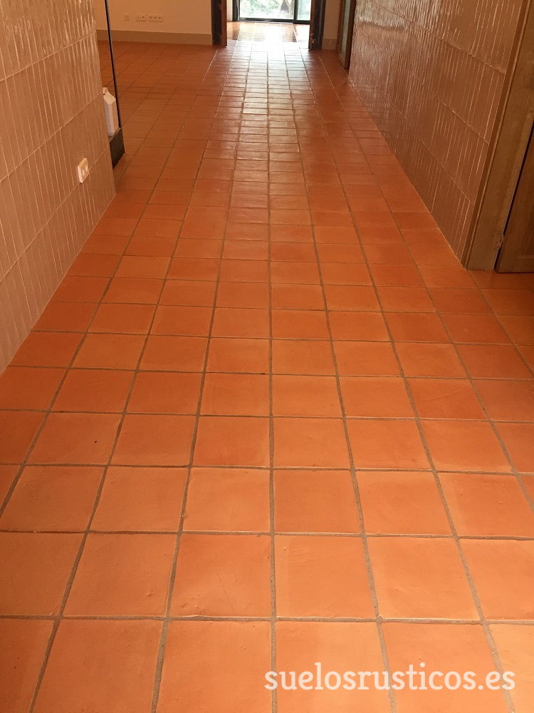 SuelosR's tweet photo. Tratamiento suelo de barro interior acabado natural. #suelodebarro #terracotta #rustictiles #terracottafloor #suelorustico #suelosrusticos #barro #suelosdebarro #soleria #fang #terracuita #aceitedemora #baldosasdebarro #barrococido #aceitesuelos https://t.co/CI4BH32p3M