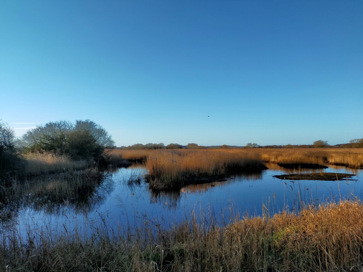 Keith_Barber's tweet photo. Beautiful morning, very peaceful. #Stodmarsh https://t.co/gNGCGsWTvj