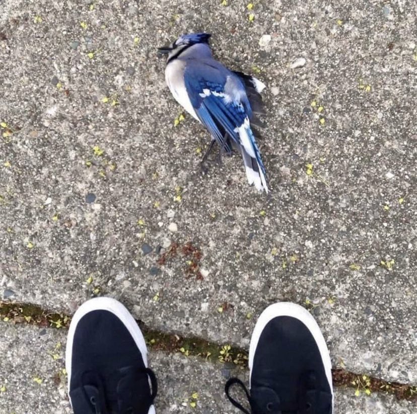 TheFloopyGoose's tweet photo. @Lunaa sup Luna what are your thoughts on this picture https://t.co/H8S9zDg03H