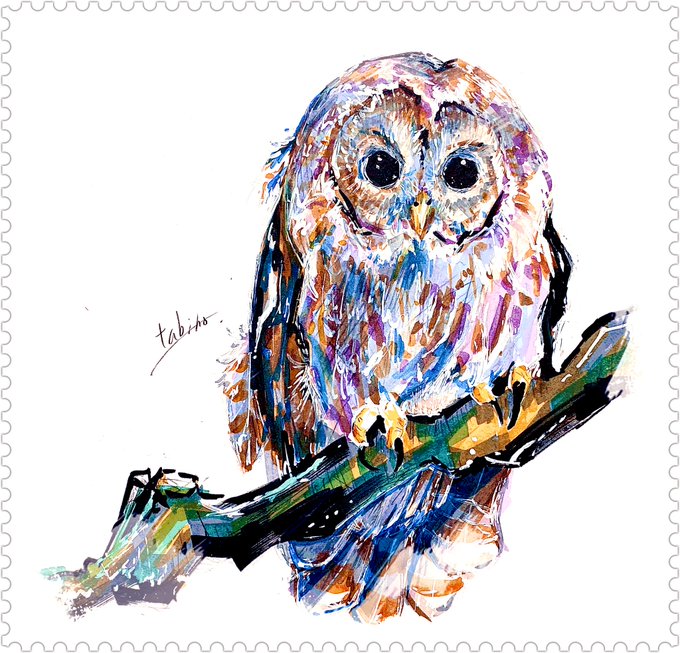 フクロウのtwitterイラスト作品