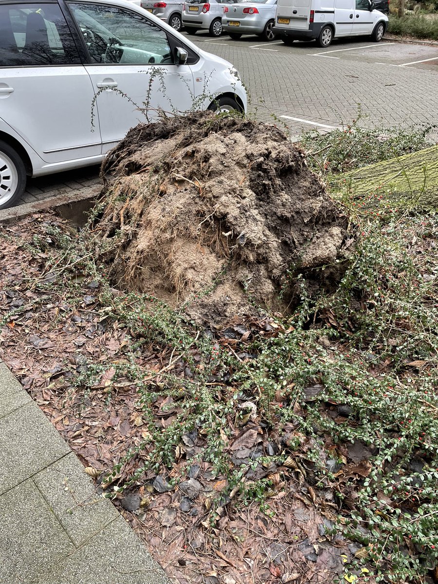 Ad Berger tweet media