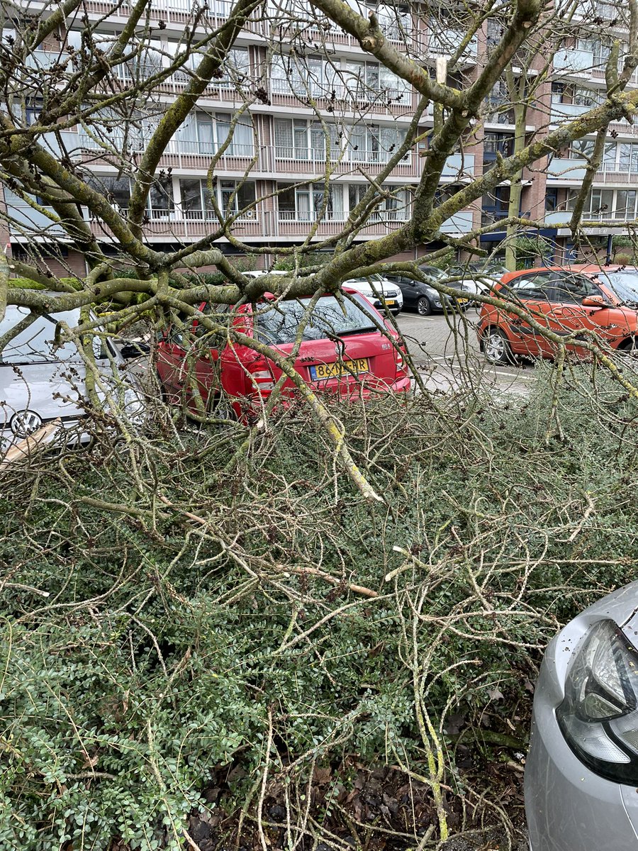 Ad Berger tweet media