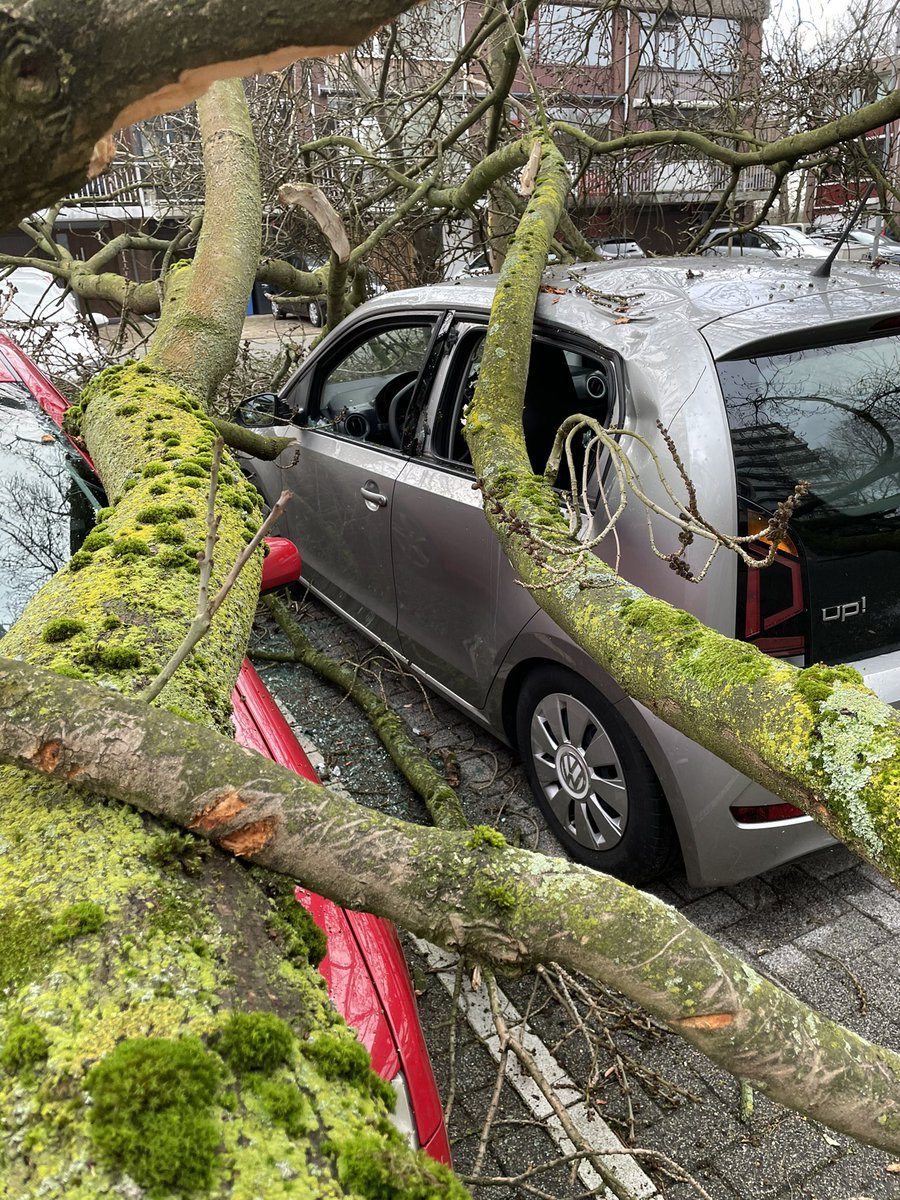 Ad Berger tweet media