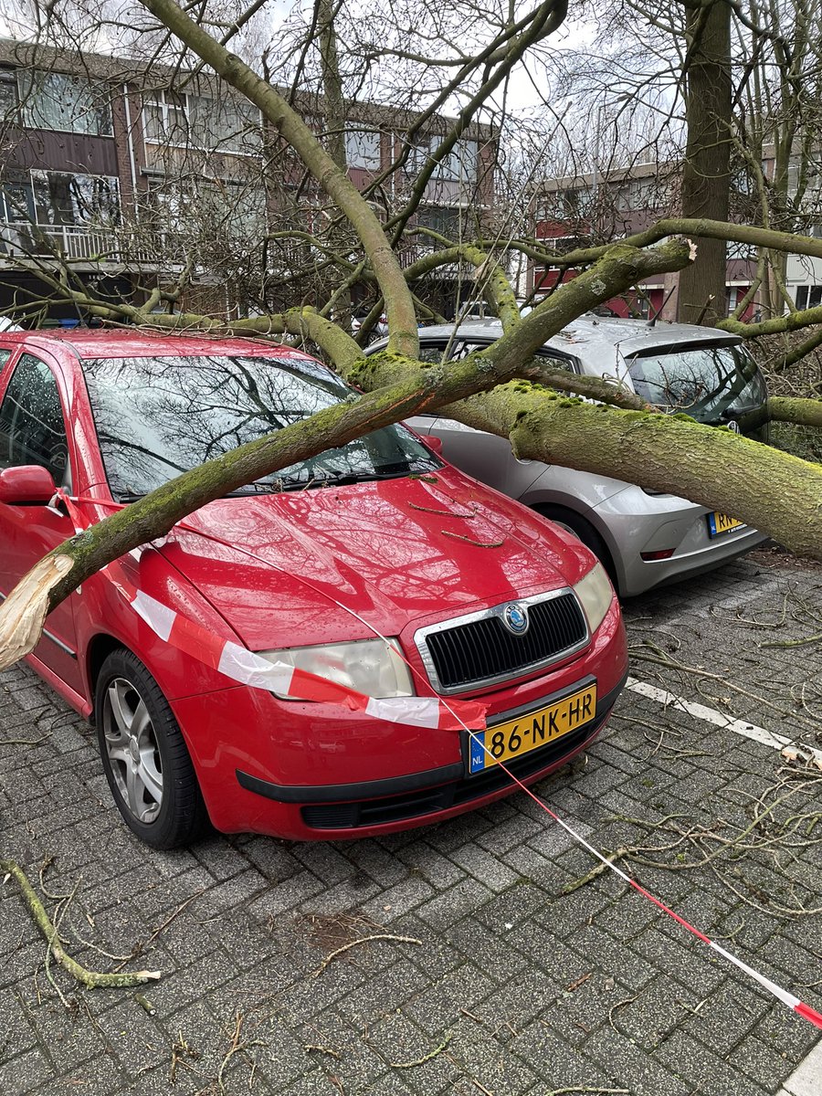 Ad Berger tweet media