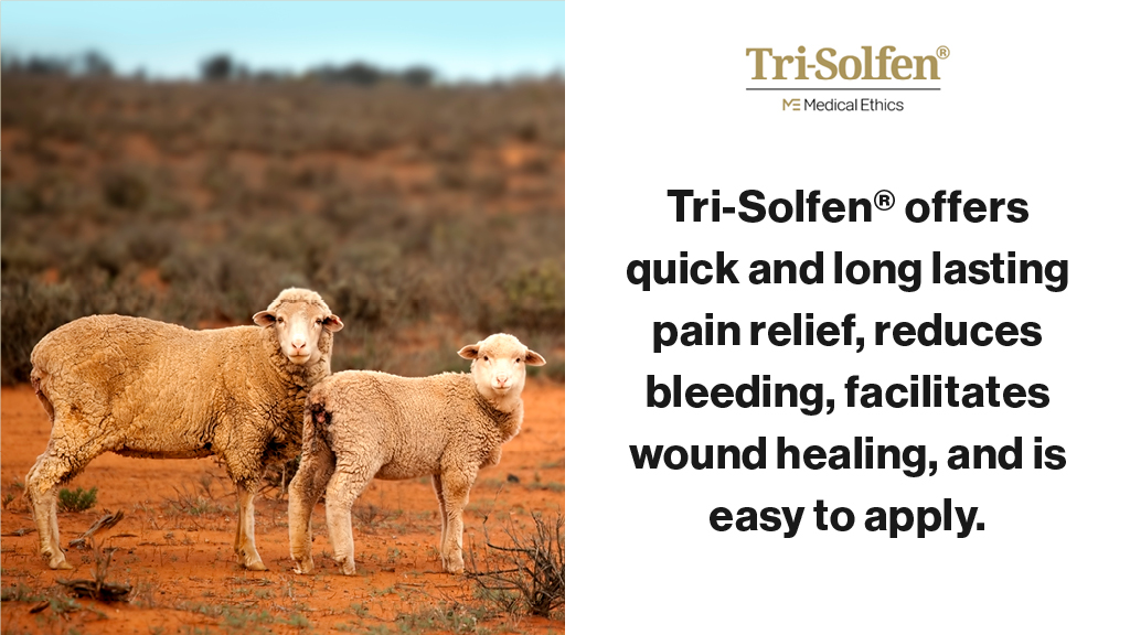 Medical Ethics (@stopswoundpain) on Twitter photo Livestock producers across Australia and New Zealand prefer #TriSolfen® for wound care and #painrelief. #TriSolfen® is registered for mulesing, castration, tail-docking, disbudding and dehorning. #animalhealth #BetterChoices® <a href="/SheepProducers/">Sheep Producers Australia</a>
medicalethics.me/animals/ Livestock producers across Australia and New Zealand prefer #TriSolfen® for wound care and #painrelief. #TriSolfen® is registered for mulesing, castration, tail-docking, disbudding and dehorning. #animalhealth #BetterChoices® <a href="/SheepProducers/">Sheep Producers Australia</a>
medicalethics.me/animals/