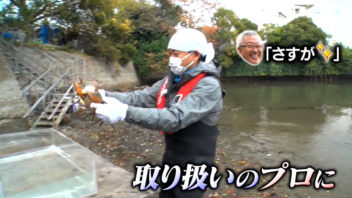 【匿名配送】血流は\"静電気デトックス\"でよみがえる 血流は“静電気デトックス