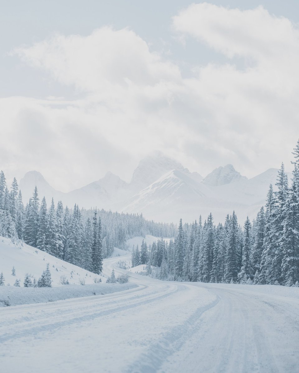 wintery gm for you all ❄️