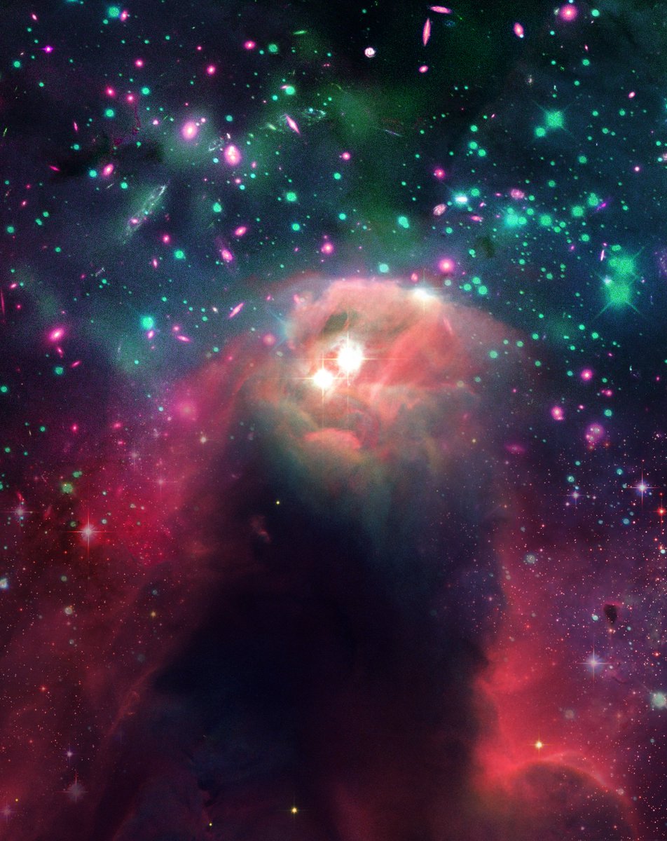 NebulasNft's tweet photo. ⭐Good evening !⭐

 🚀We just launched yesterday a new collection on MATIC. 🚀
 
🌕 Let's discover the universe together along the  1,111 Amazing Nebulas discovered.  🌕

⚪There are A LOT of whitelist spots.⚪

#NFT #NFTCommunity #nftart #NFTLAUNCH #PolygonNFT  #NFTCollection https://t.co/n1qBsrEXSz