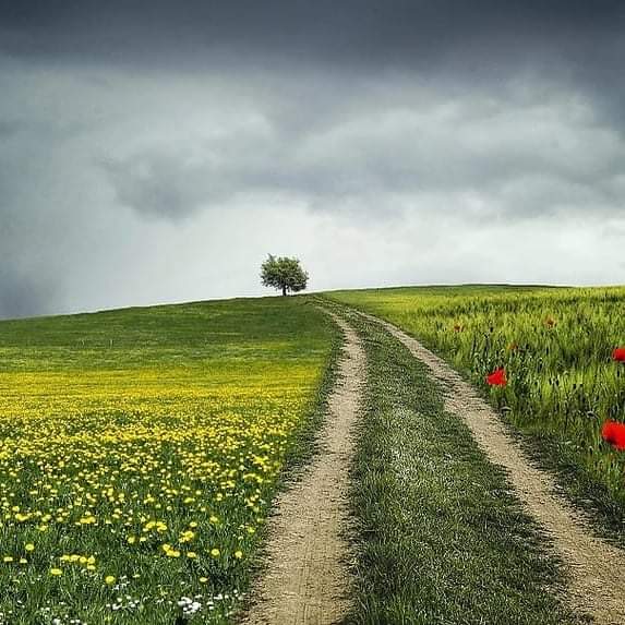 " كُونو ممّن يُعطي النور لمن حولهم، وإن كانت خفاياكم مُتعبة، فثواب العطاء يُخبئ لكم فرجًا من حيث لا تحتسبون"