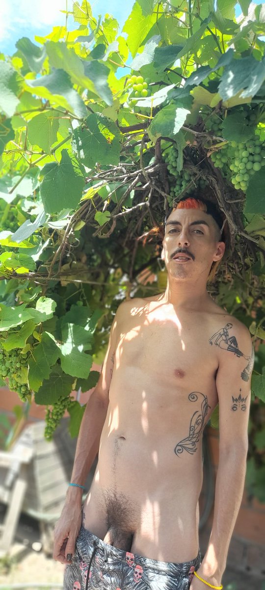 Alguien dijo vino petero digo patero?😋