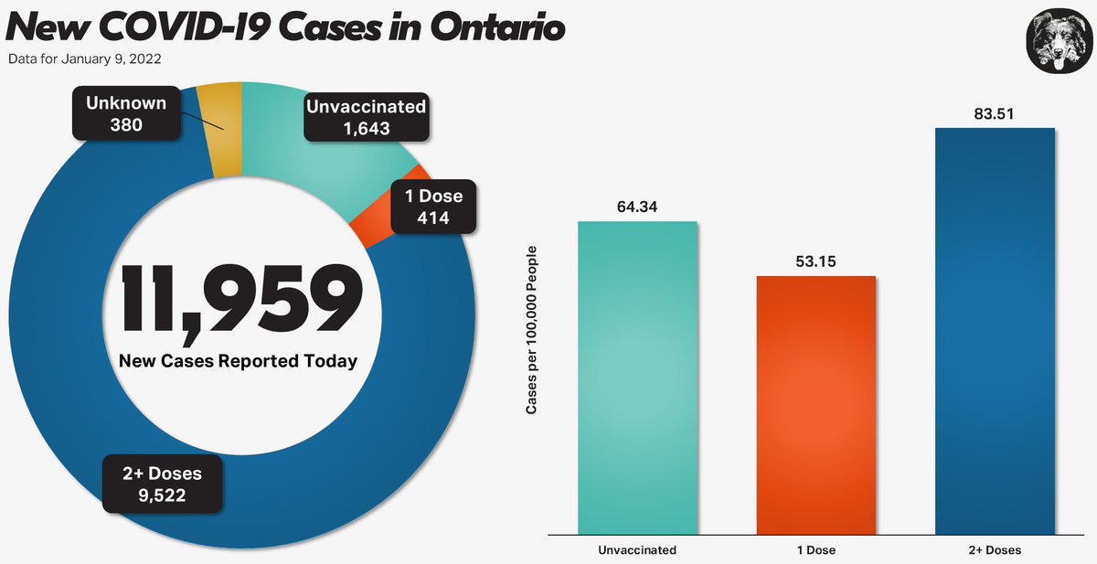 Golden_Pup's tweet photo. 1) New COVID 19 Cases in Ontario
Jan 9, 2022

11,959 new cases
1,643 are not vaccinated
414 are partially vaccinated
9,522 are fully vaccinated
380 have an unknown vaccination status

See the chart for population-adjusted rates. https://t.co/t7JiA4ThR9