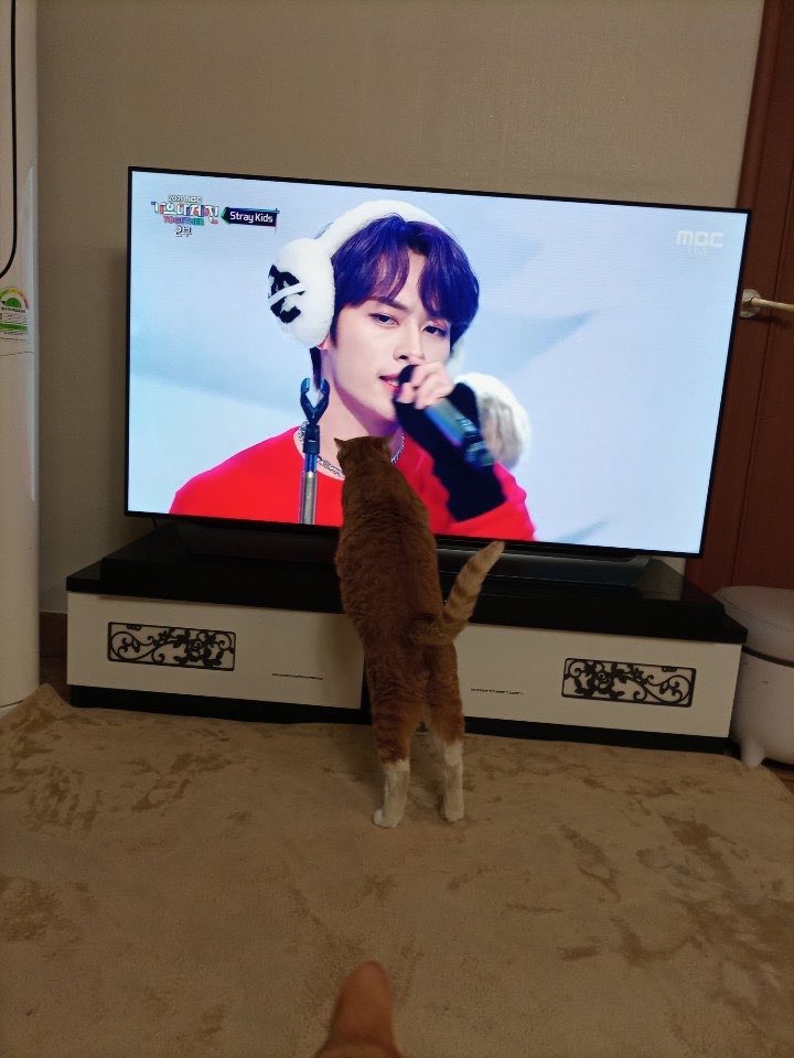 hyunhogalIery's tweet photo. [220110] 🐰💭 12:35 AM KST 

LK sent photos

“my pretty babies”
“🍑😘” *sticker* https://t.co/3VVNot84Sk