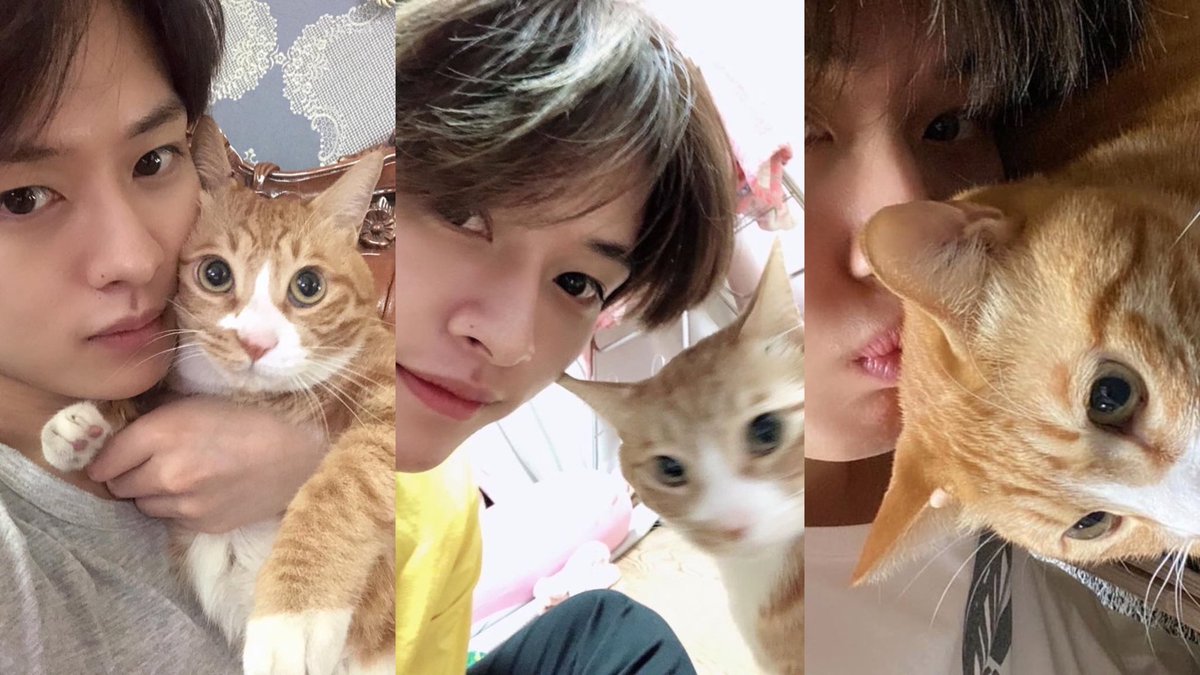 linoscookie's tweet photo. lee know and soonie’s beautiful connection

- a thread for #happysoonieday 🐱🤍 https://t.co/dObH5hIdBs