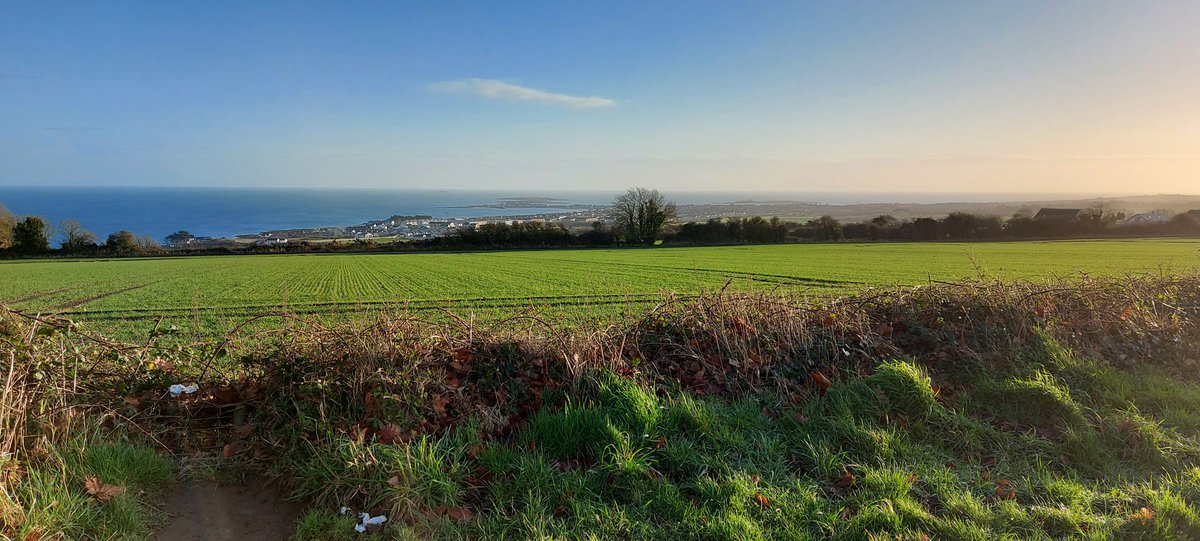 Donna Spratt tweet media