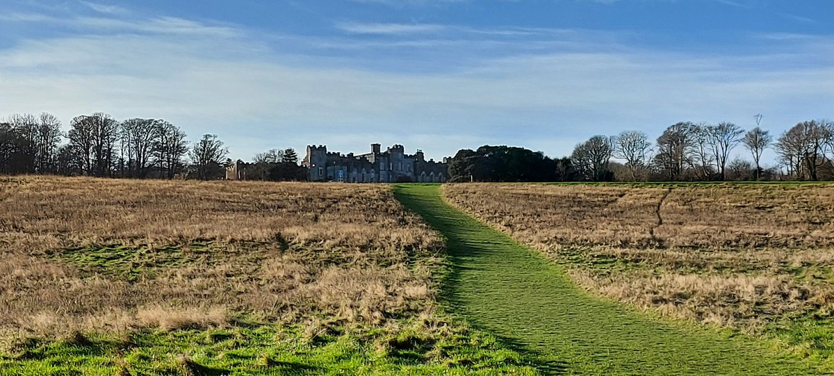 Donna Spratt tweet media