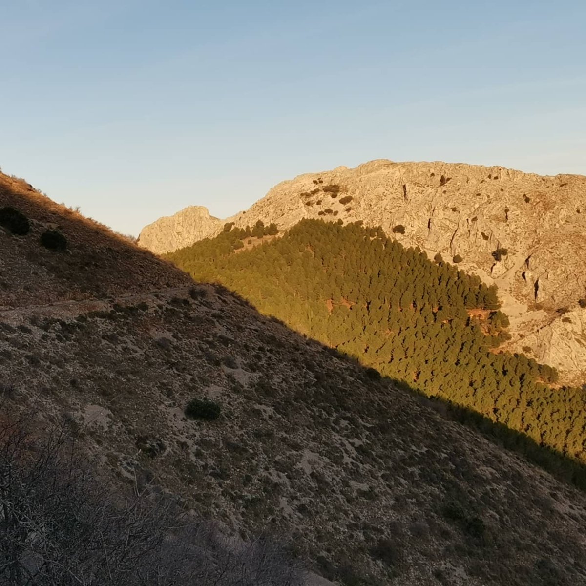 mdavilavm's tweet photo. Subes el #Trompero de noche. Te amanece en #ElPincho. Te vienen las ráfagas en el #PuertoDelAire. Y el sol te abraza en la cumbre de #Jabalcuz y en la bajada. Y te salen #20kmDeDisfrute. #SillyWalks #QueYaIbaSiendoHoraEnEl22 https://t.co/pj4dn63EFr