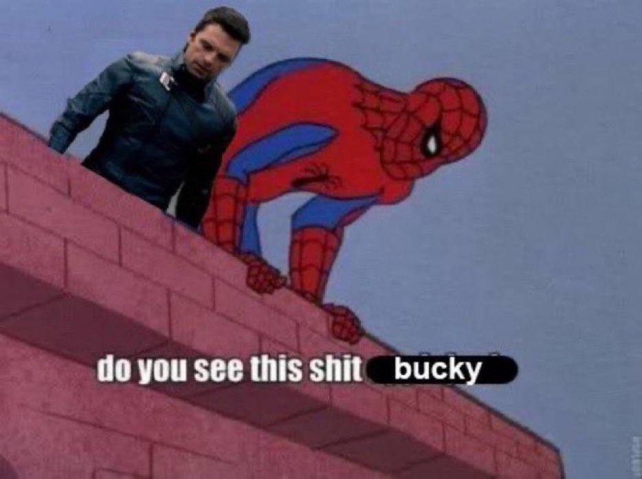 buckyinluv tweet media