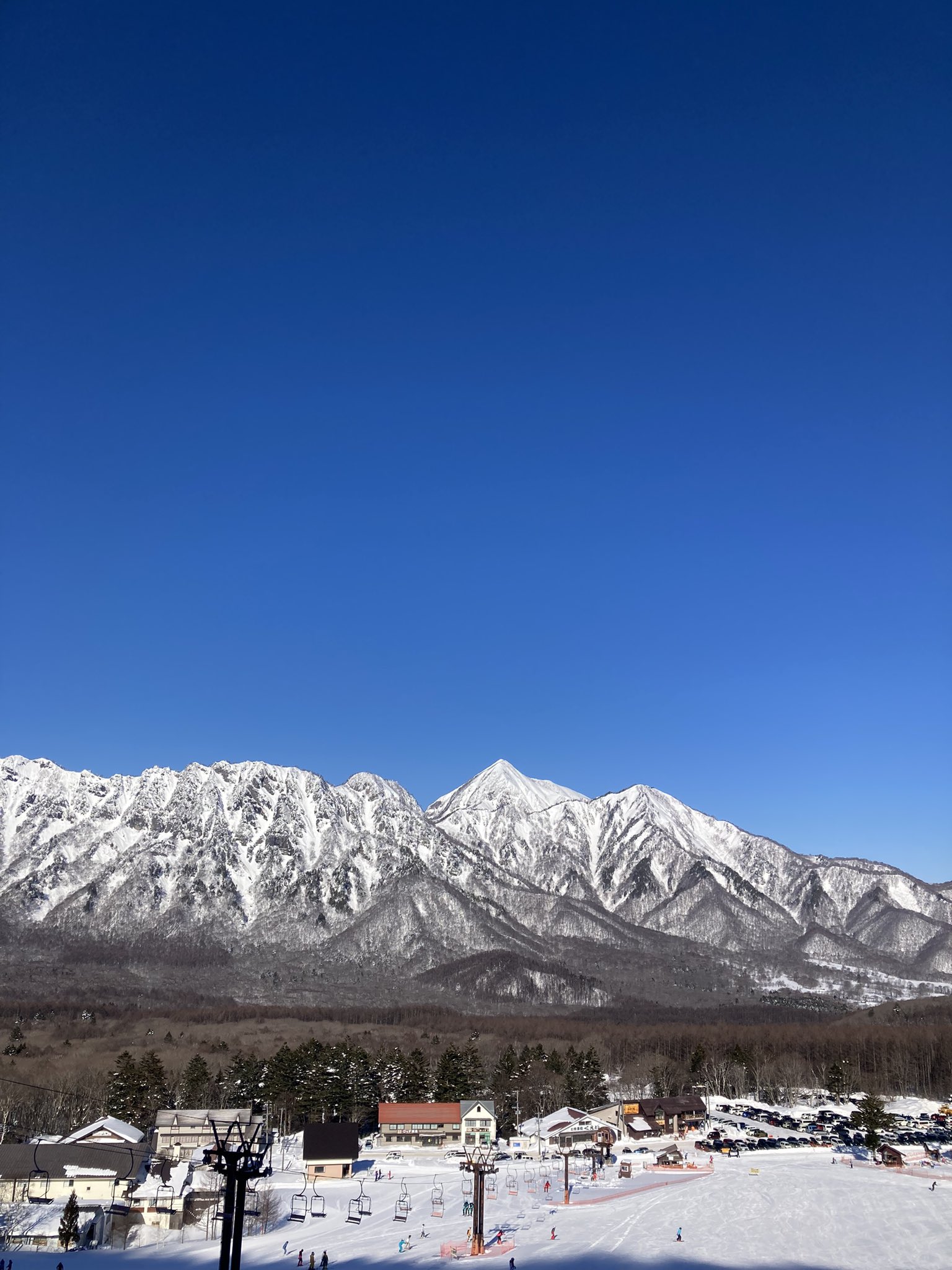 Chat Noir Nyan916 Twitter