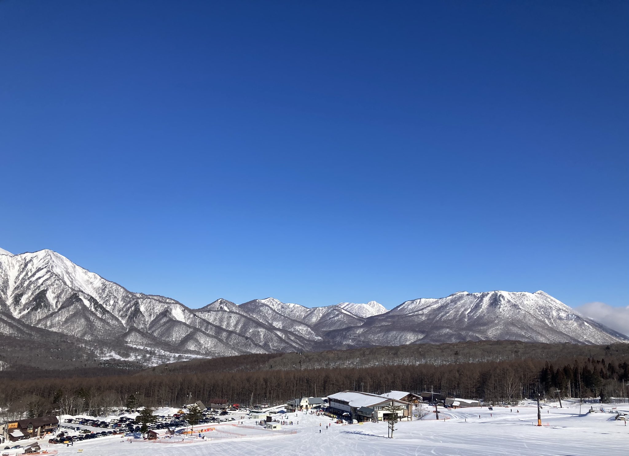 Chat Noir Nyan916 Twitter