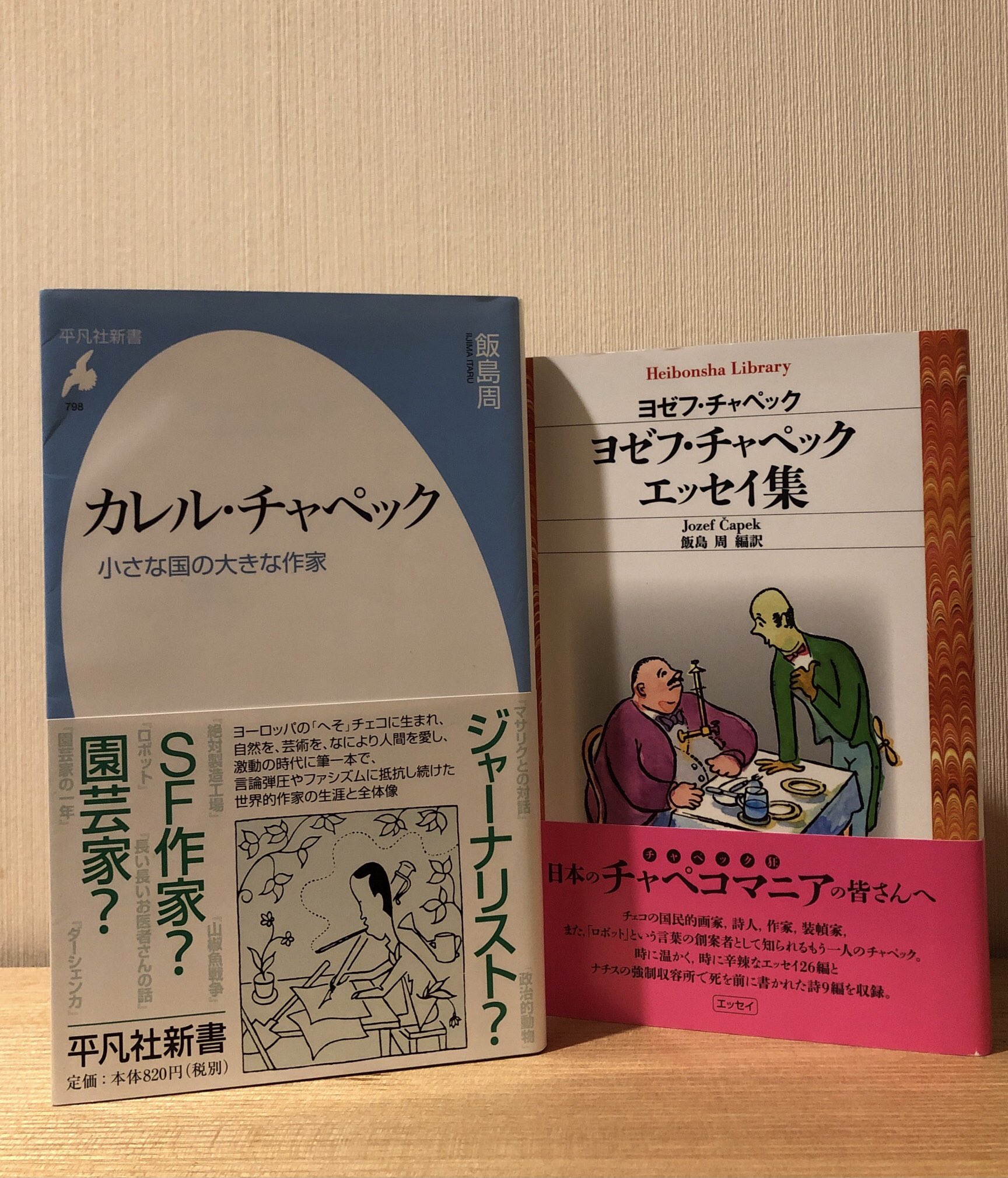願いをかなえる呪文 (ザ・ランド・オブ・ストーリーズ) | クリス