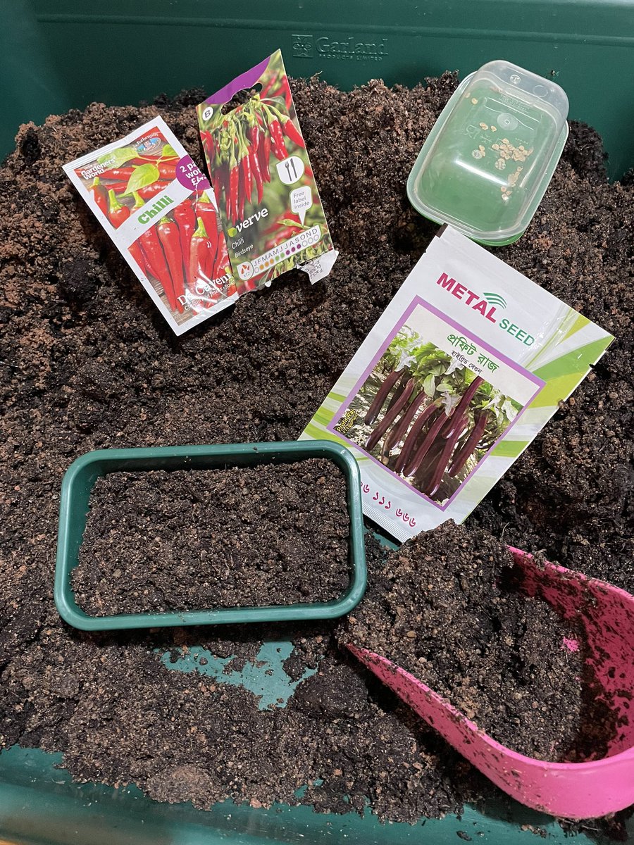 Northern_LilyGM's tweet photo. And we are off! The gardening year begins and my propagators are dusted off and switched on.
Sunday seed sowing in my dining room with my daughter Isabelle and Joan the cat 🐈
Aubergines 🍆 and Chillis 🌶 today
#seeds #propogater #chilliseeds #aubergine #gardening https://t.co/6VpF1skLyU