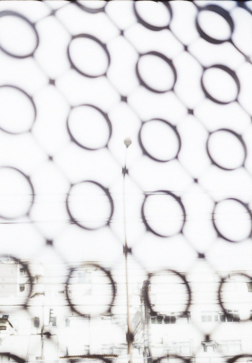 km_camera_'s tweet image. 白は白でもホワイトじゃない

📷：OLYMPUS PEN-FT
🎞：宇宙の片隅

#filmphotograhy #film #ファインダー越しの私の世界 #penft #宇宙の片隅 #halfcamera #ハーフカメラで撮る日常