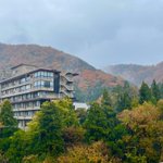 くま(TravelくまCH)のツイート画像