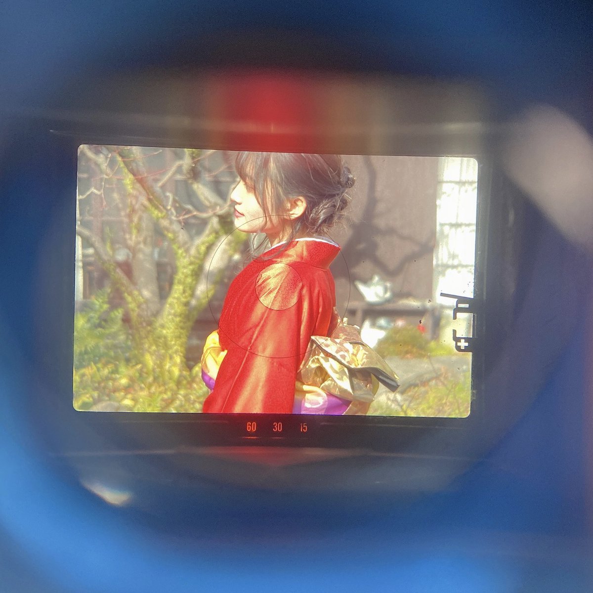 さくら（おおしま兄妹） tweet media