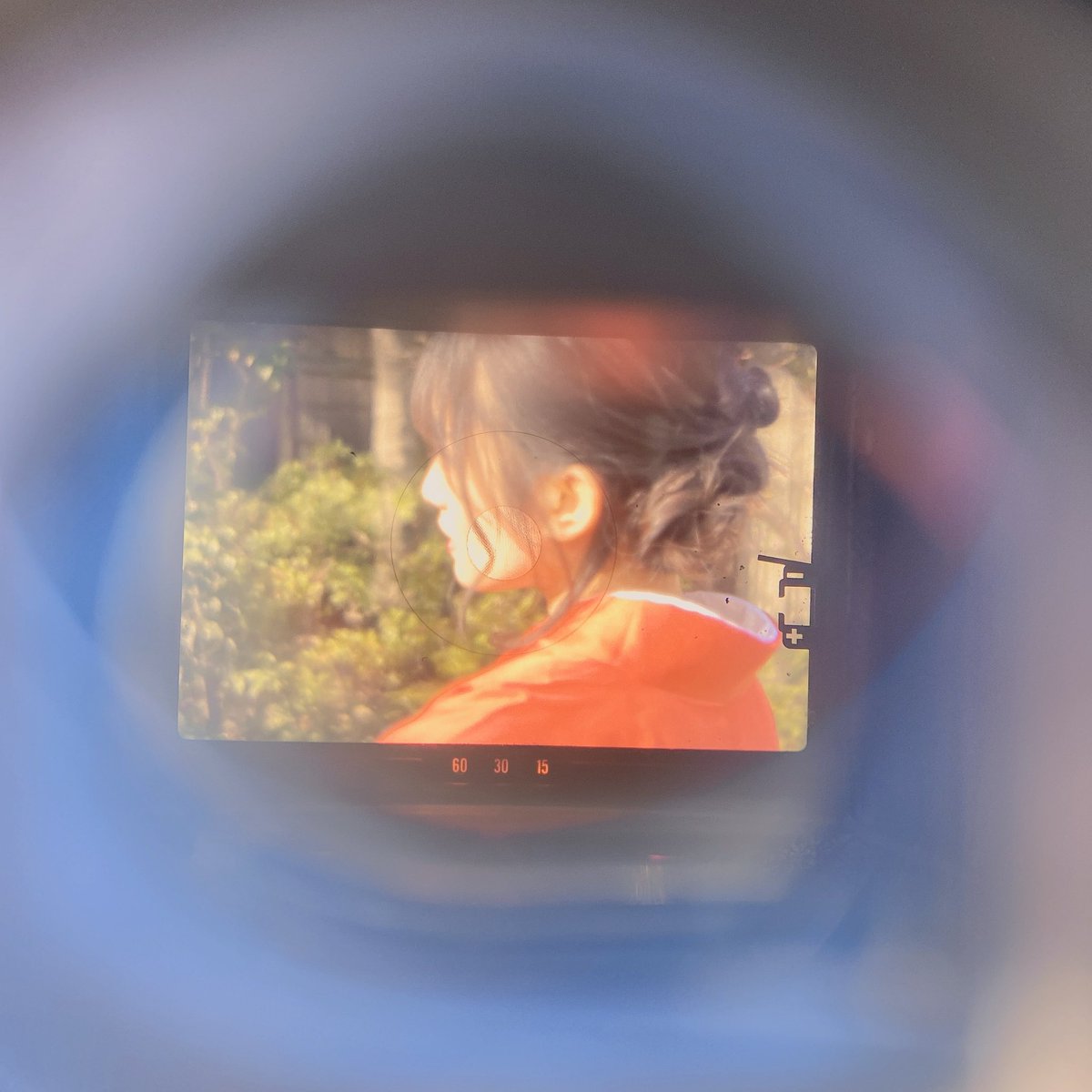 さくら（おおしま兄妹） tweet media