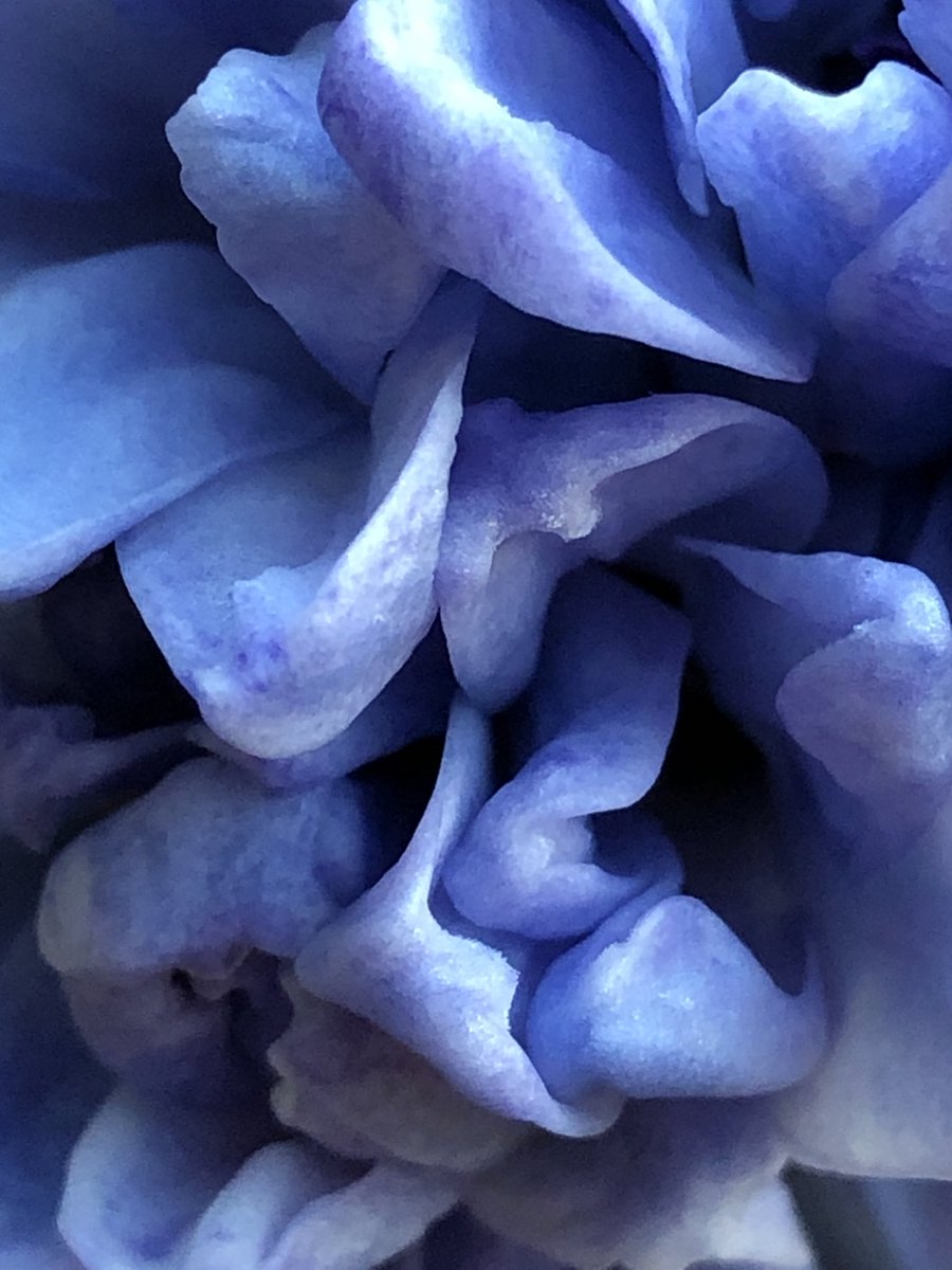 Stephen Keeler tweet media