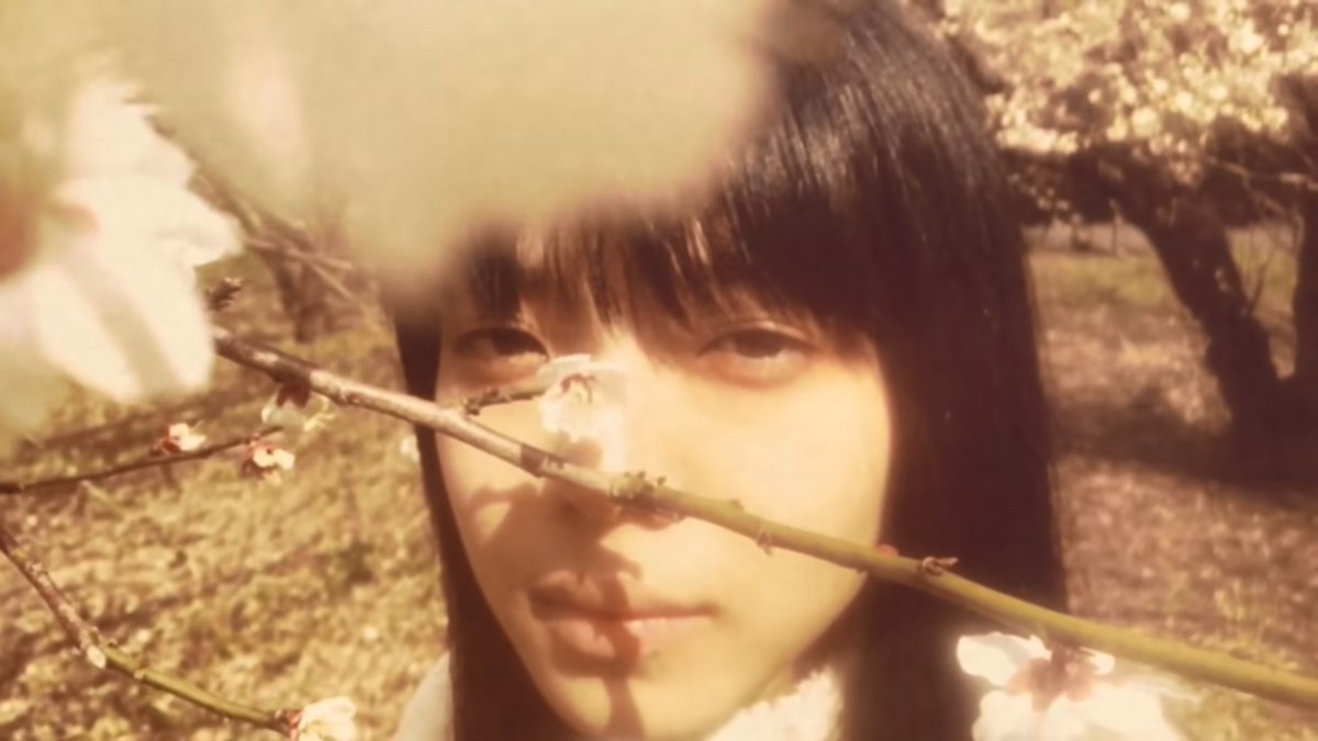 film ghost 幽霊 🎥 tweet media