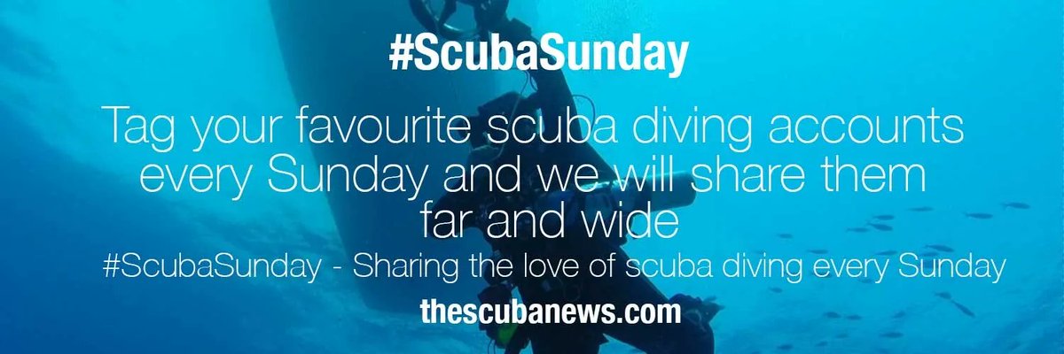 The Scuba News (@thescubanews) on Twitter photo Time for some #ScubaSunday recommendations. Get following for great #scubadiving content <a href="/diveSSI/">diveSSI</a> <a href="/MartinooAsiaqua/">Martinoo UW Macro critters hunter !</a> <a href="/CristinaZenato/">Cristina Zenato</a> <a href="/dive_bunnies/">Dive Bunnies</a> <a href="/DanielSasse3/">DanThΞMan 🌊📸🦈🔱</a> <a href="/aquaticventures/">Aquatic Ventures</a> @Liquiddiving <a href="/Salty_Endeavors/">Salty Endeavors</a> <a href="/seashepherd/">Sea Shepherd</a> <a href="/AziabRedSea/">Aziab</a> <a href="/AWE365/">AWE365</a> <a href="/suyantonawawi/">Suyanto Nawawi</a> <a href="/underwaterpat/">🌊 pat 🌊</a> 🤿👌😎 Time for some #ScubaSunday recommendations. Get following for great #scubadiving content <a href="/diveSSI/">diveSSI</a> <a href="/MartinooAsiaqua/">Martinoo UW Macro critters hunter !</a> <a href="/CristinaZenato/">Cristina Zenato</a> <a href="/dive_bunnies/">Dive Bunnies</a> <a href="/DanielSasse3/">DanThΞMan 🌊📸🦈🔱</a> <a href="/aquaticventures/">Aquatic Ventures</a> @Liquiddiving <a href="/Salty_Endeavors/">Salty Endeavors</a> <a href="/seashepherd/">Sea Shepherd</a> <a href="/AziabRedSea/">Aziab</a> <a href="/AWE365/">AWE365</a> <a href="/suyantonawawi/">Suyanto Nawawi</a> <a href="/underwaterpat/">🌊 pat 🌊</a> 🤿👌😎
