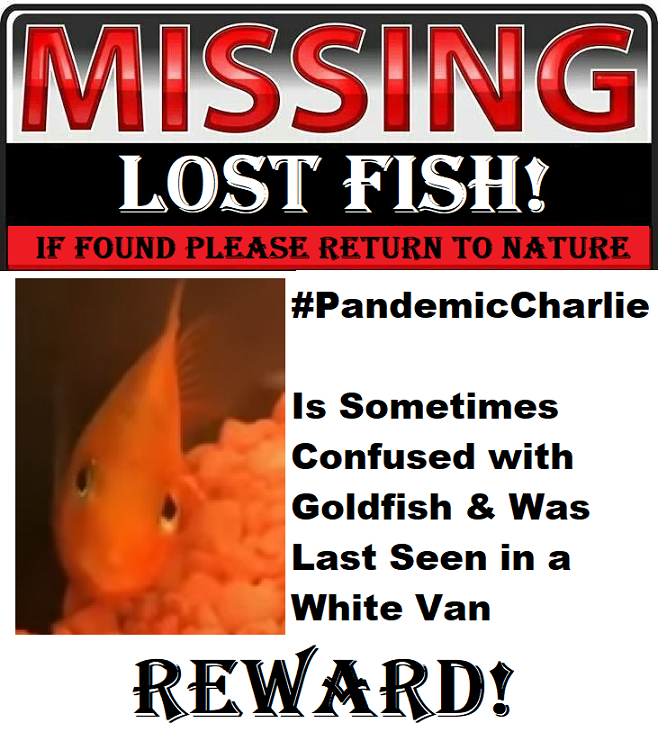 RegretfulPirat1's tweet photo. #PandemicCharlie #LostFish #NaturesFish https://t.co/CHh5CGcc50