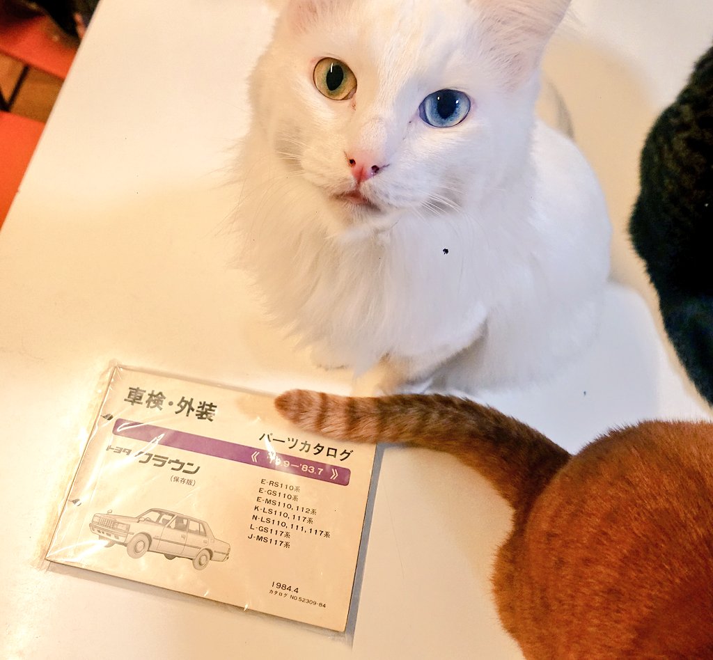 L_GS126V's tweet photo. いまさらですが
基本書を入手しました👍️✨
#クラウン #crown
#パーツカタログ
#MS110 #GS110 #RS110 #LS110 #MS112 #MS117 #GS117 #LS117 https://t.co/8m0mXyZPgQ