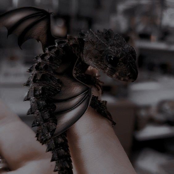 ข้า คาเธีย รามิเรซ แวมไพร์แห่งปราสาทแดง ผู้สมัคร No.5 เมื่อยามราตรีกาลมาเยือนท่านจะพบข้าได้เสมอ วันนี้ข้ามาพร้อมกับสัตว์เลี้ยงตัวใหม่ของข้า เจ้ามังกรน้อยเวนดี้ ที่มาของชุดหรอ ข้าพยายามแล้วนะแต่ข้าคิดไม่ออก ก็นั้นแหละ พินเทอเรสต์ แอพที่กดเข้าไปทีไรเมมเกือบเต็มตลอด #Edenfairyparty